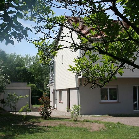 Gites Du Tilleul Gumbrechtshoffen Екстериор снимка