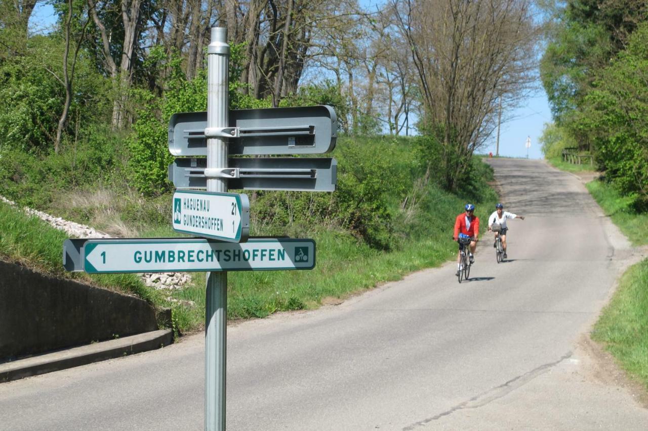 Gites Du Tilleul Gumbrechtshoffen Екстериор снимка